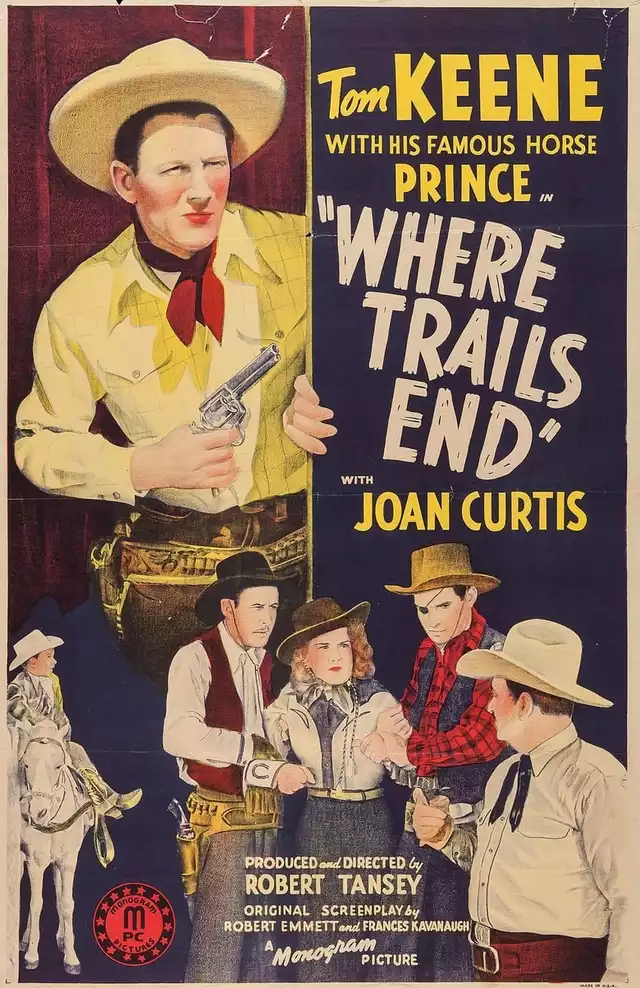 movie vertical poster fallback