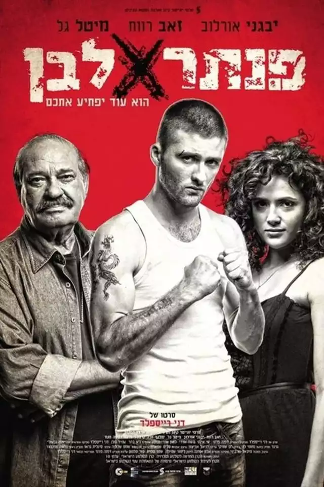 movie vertical poster fallback