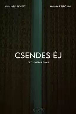 Csendes éj