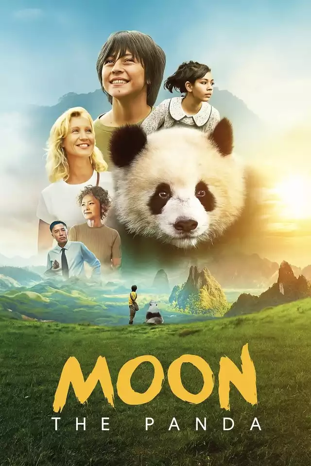 movie vertical poster fallback