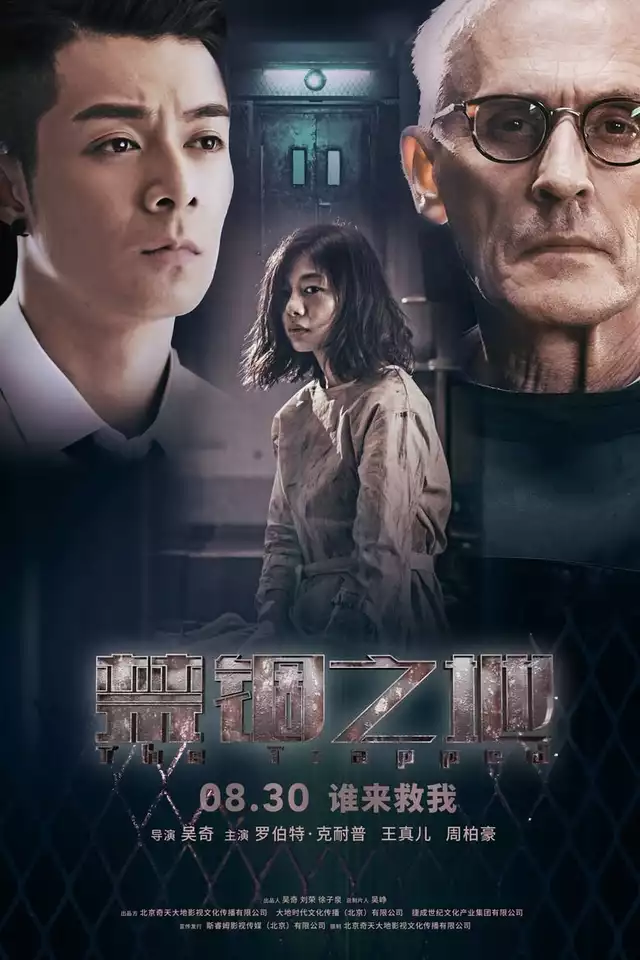 movie vertical poster fallback