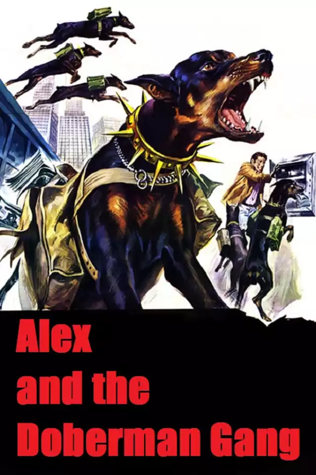 movie vertical poster fallback