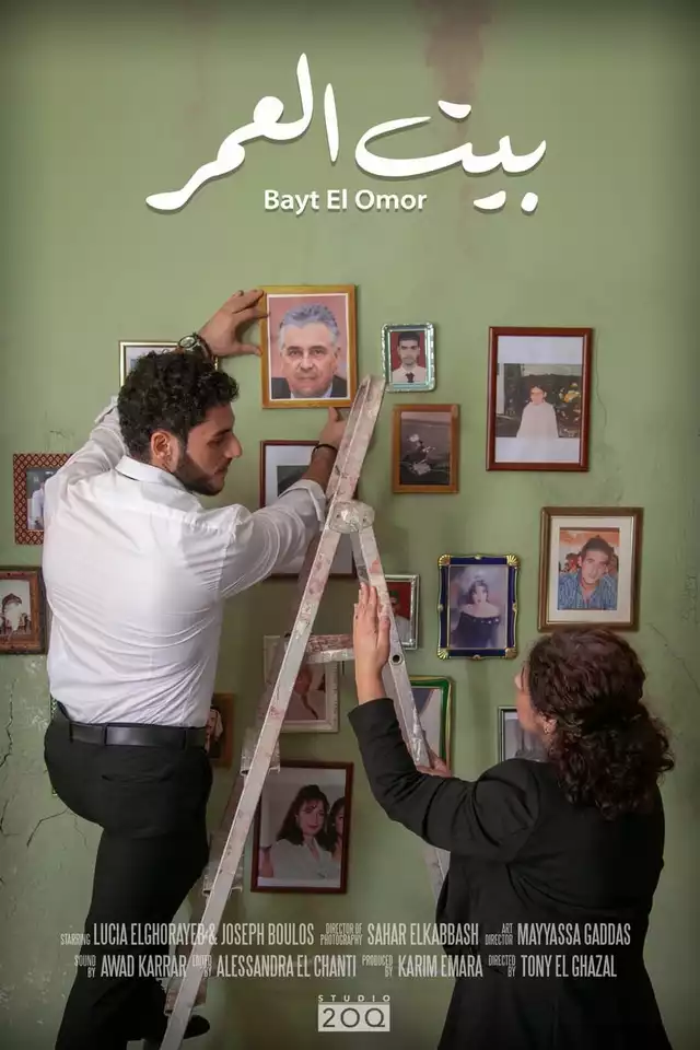 movie vertical poster fallback