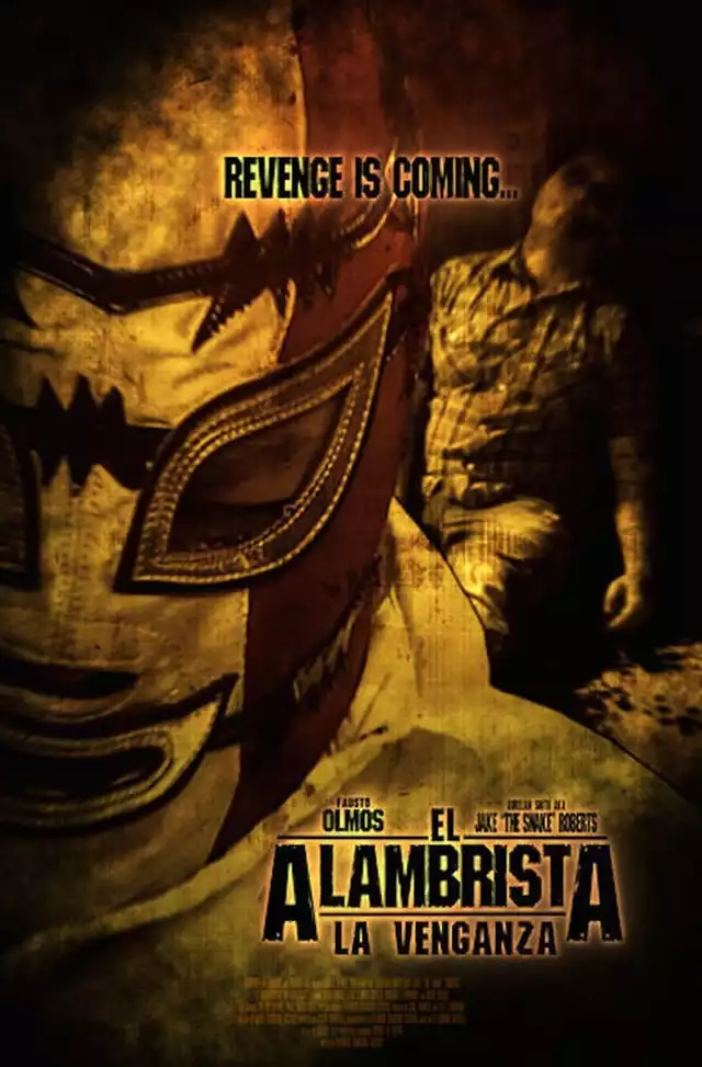 movie vertical poster fallback