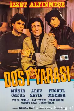 Dost Yarası