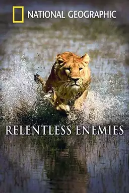 Relentless Enemies