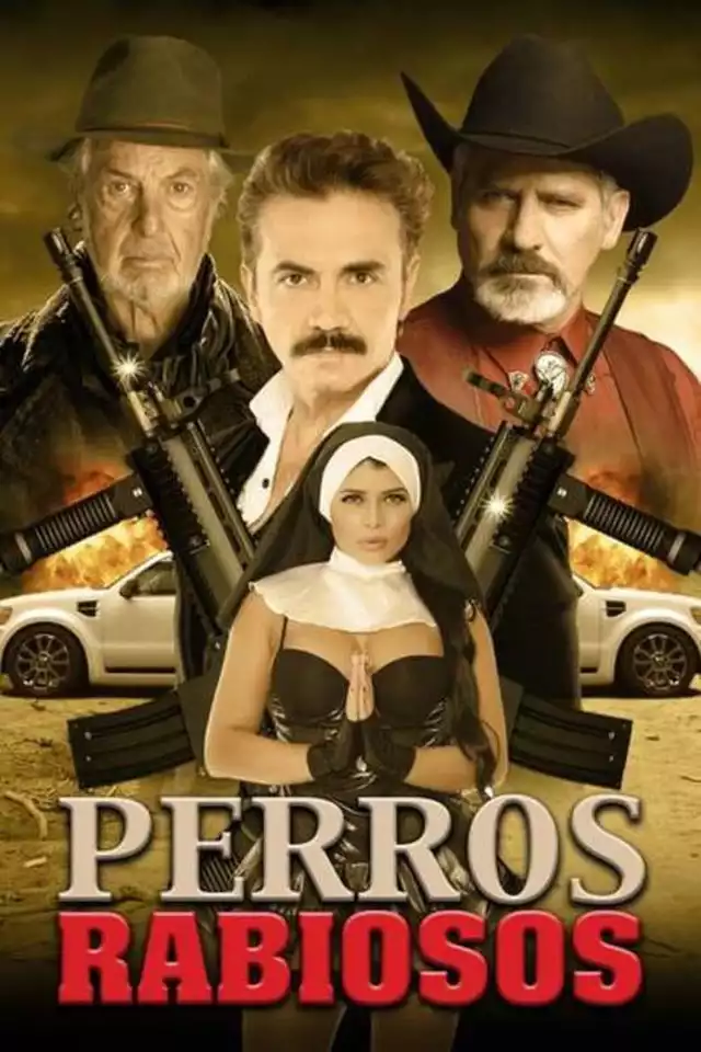 movie vertical poster fallback
