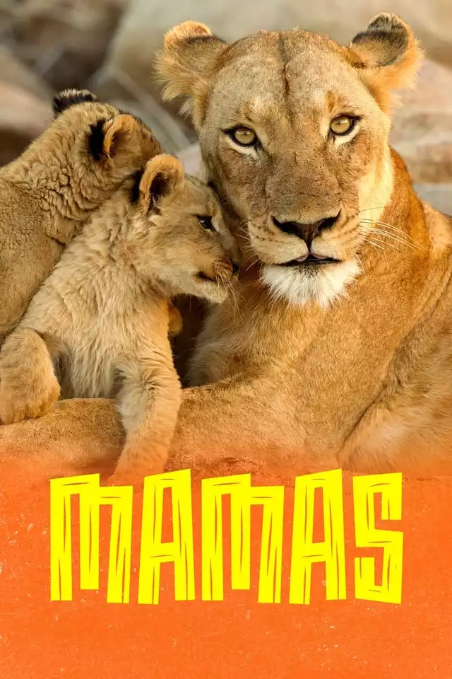 movie vertical poster fallback