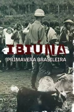 Ibiúna, Primavera Brasileira