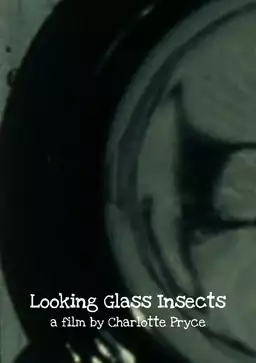 Looking Glass Insects