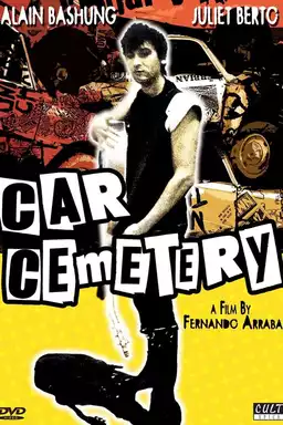 Car Cemetery