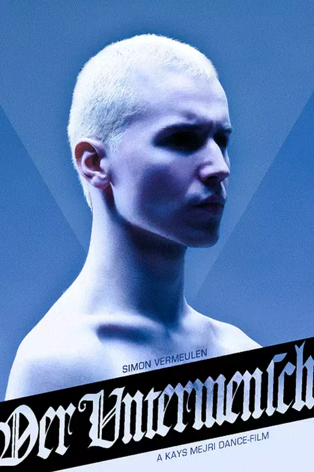 movie vertical poster fallback