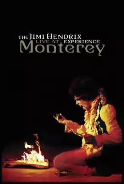 The Jimi Hendrix Experience: Live at Monterey
