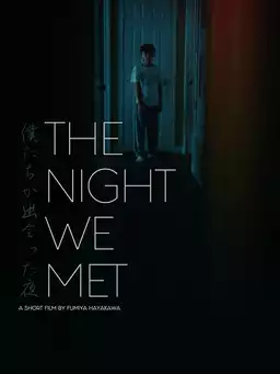 The Night We Met