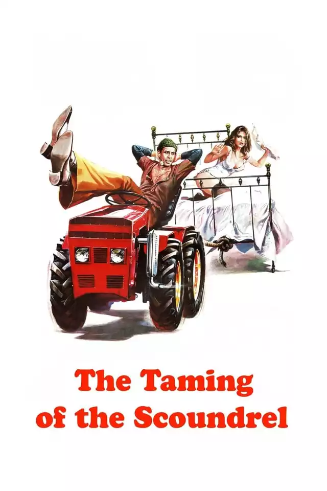 movie vertical poster fallback