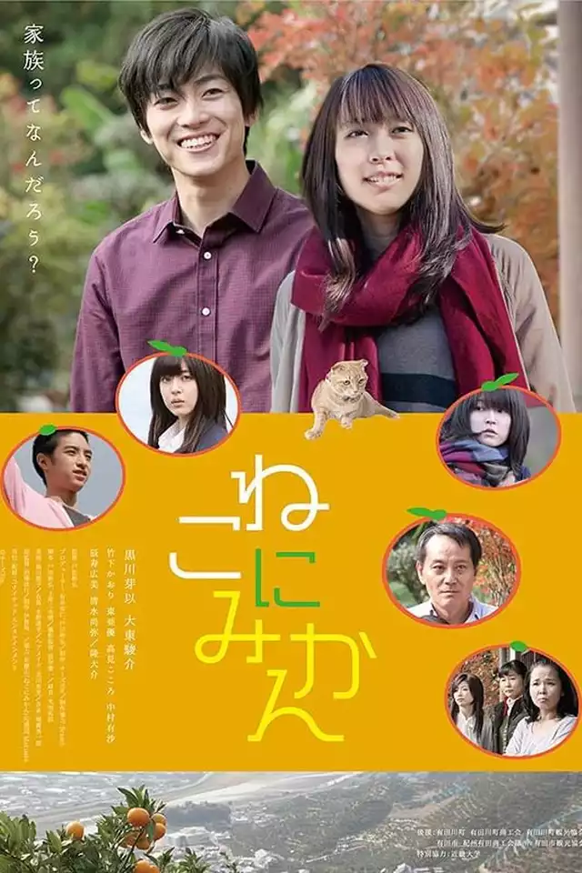 movie vertical poster fallback
