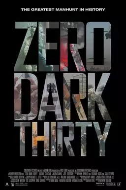 Zero Dark Thirty