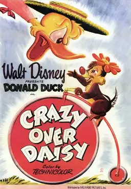 Crazy Over Daisy