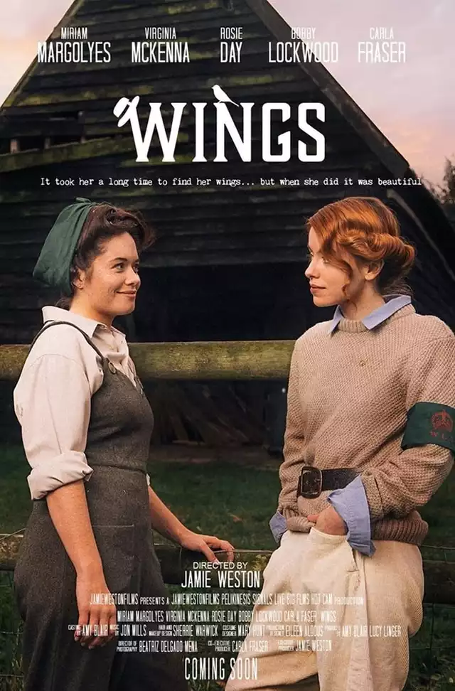 movie vertical poster fallback