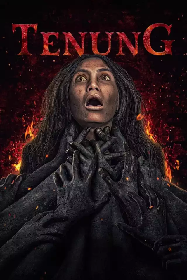 movie vertical poster fallback