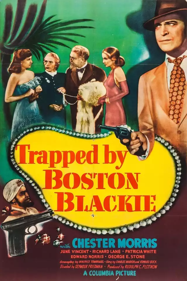 movie vertical poster fallback
