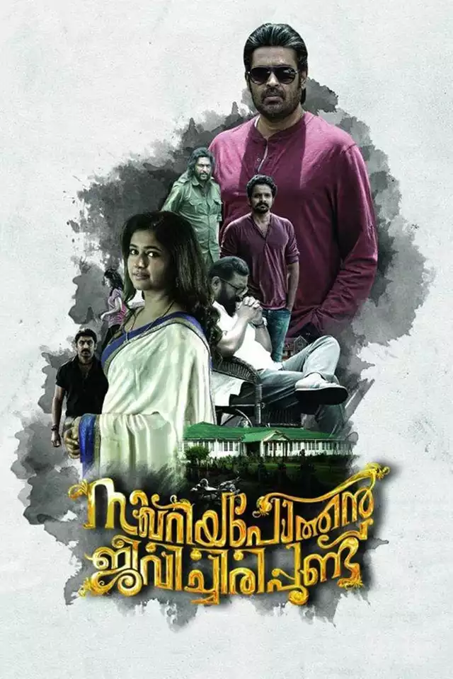 movie vertical poster fallback
