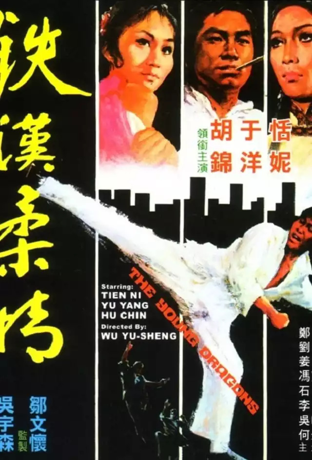 movie vertical poster fallback