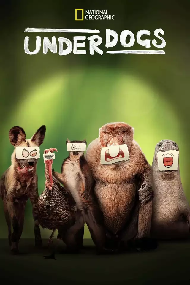 movie vertical poster fallback