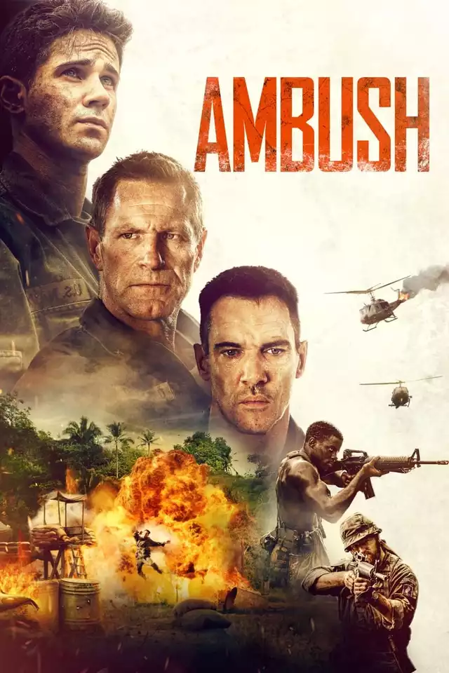 movie vertical poster fallback