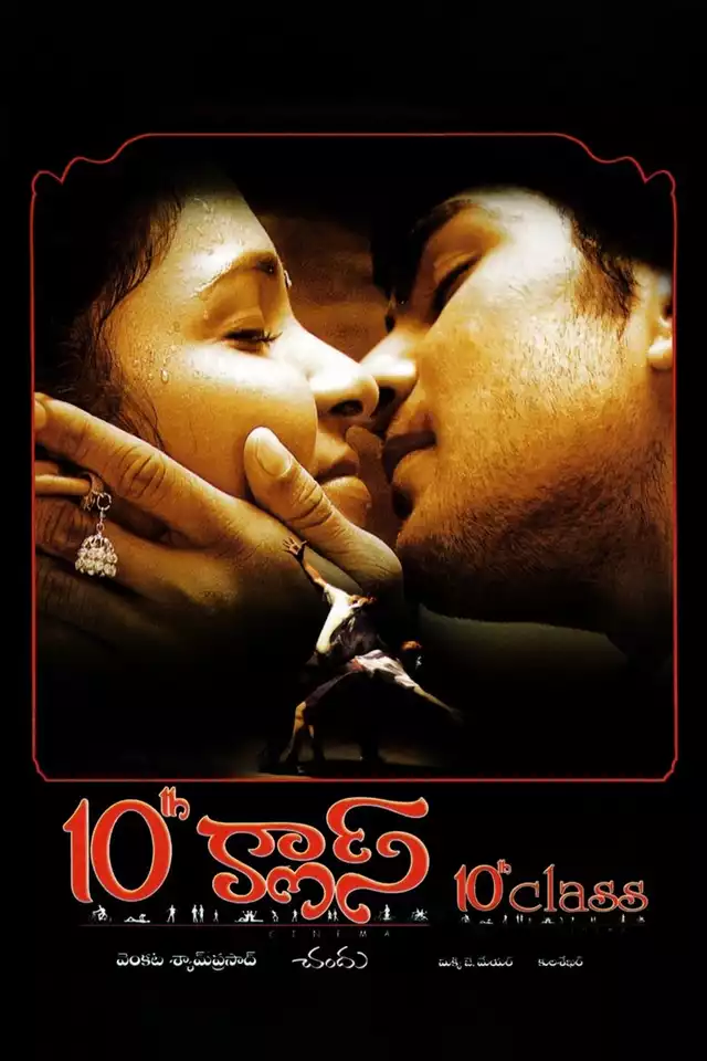 movie vertical poster fallback
