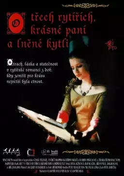 O třech rytířích, krásné paní a lněné kytli