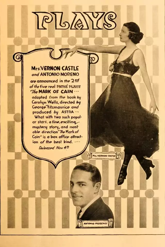 movie vertical poster fallback