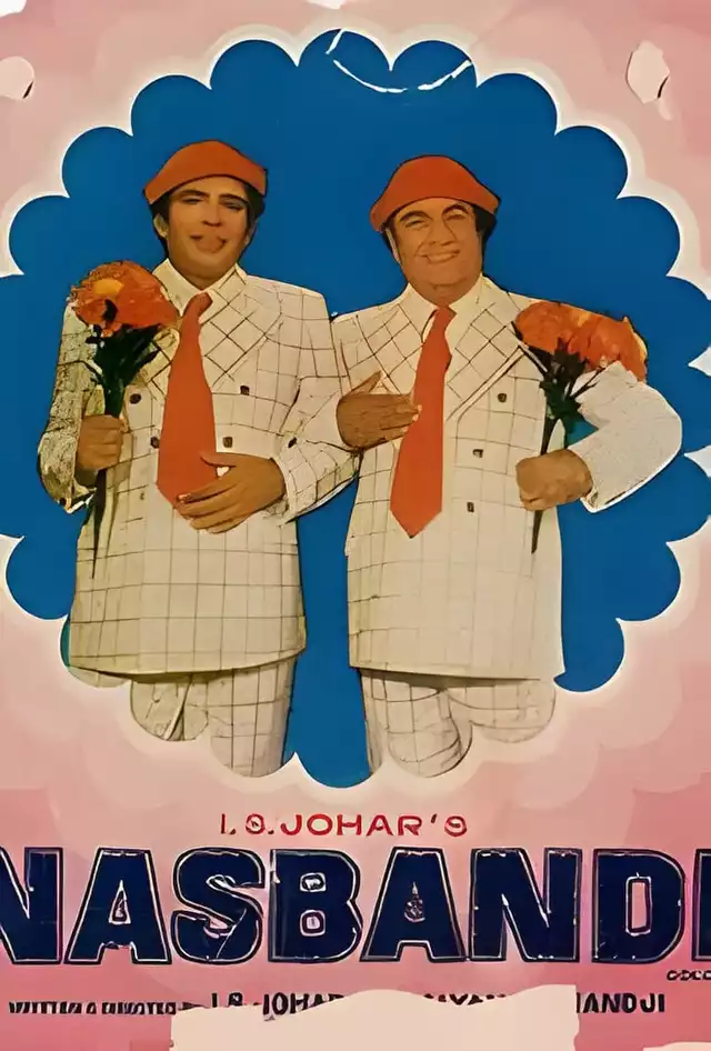 movie vertical poster fallback