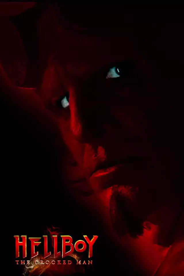 movie vertical poster fallback