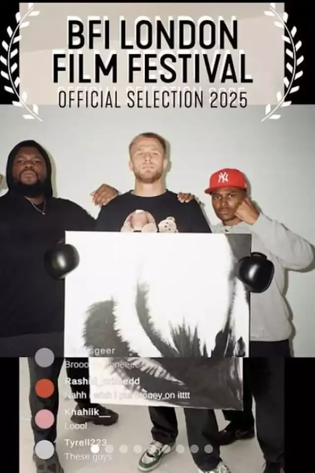 movie vertical poster fallback