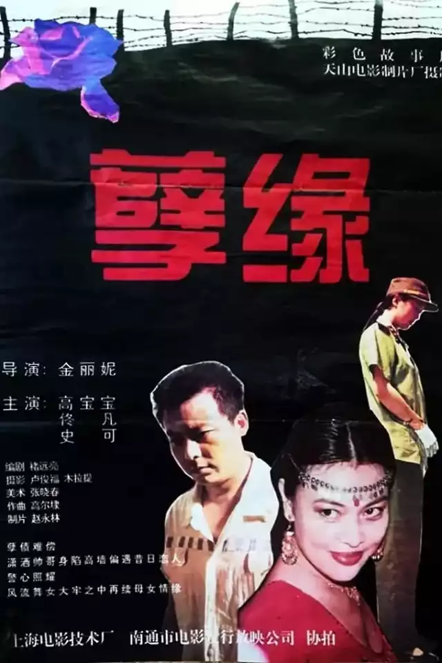 movie vertical poster fallback