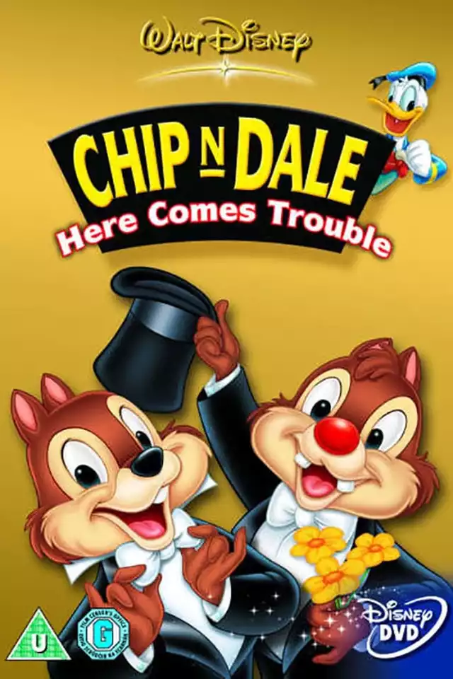 movie vertical poster fallback