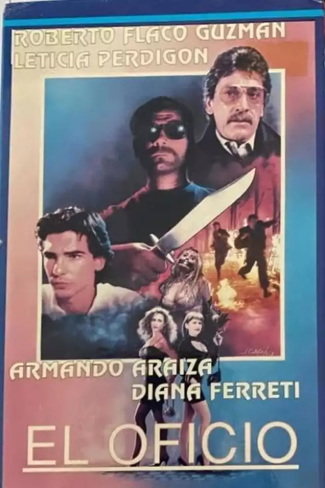 movie vertical poster fallback