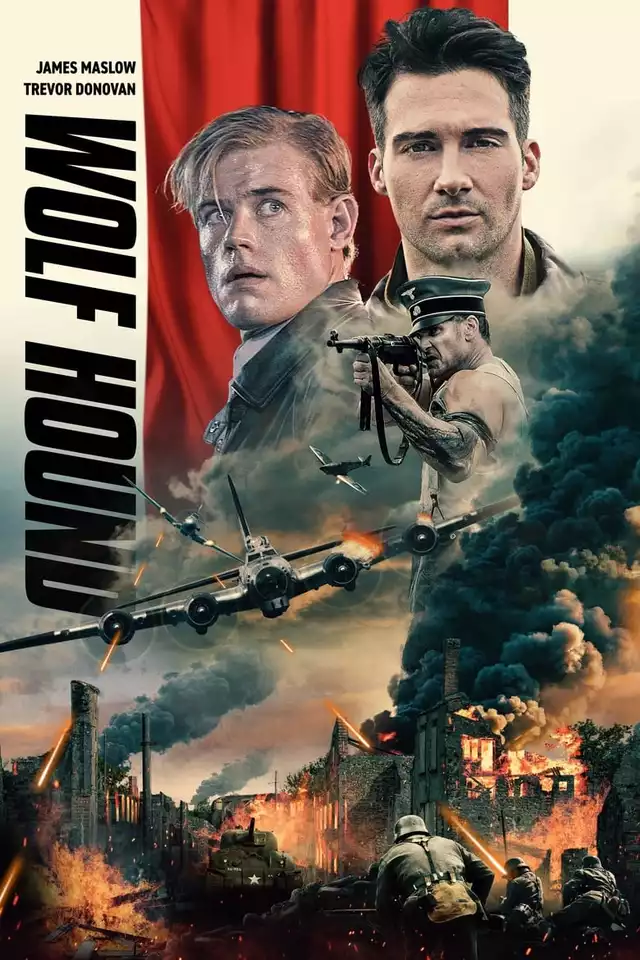 movie vertical poster fallback