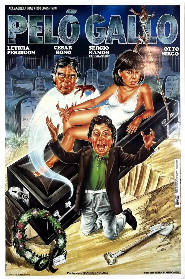 movie vertical poster fallback