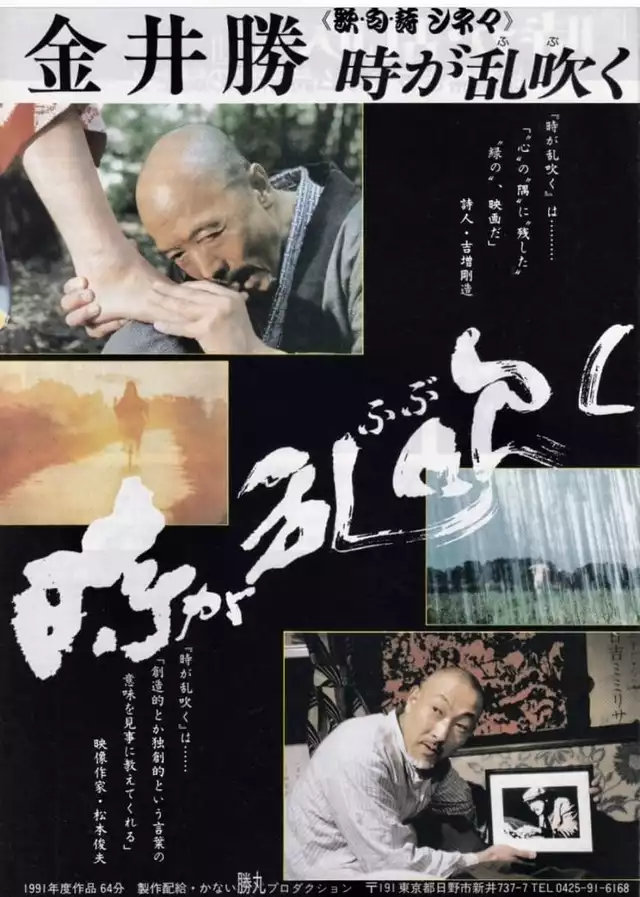 movie vertical poster fallback