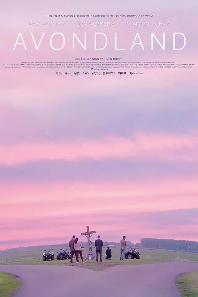 movie vertical poster fallback