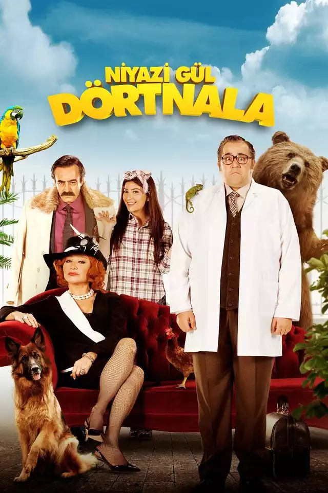 movie vertical poster fallback