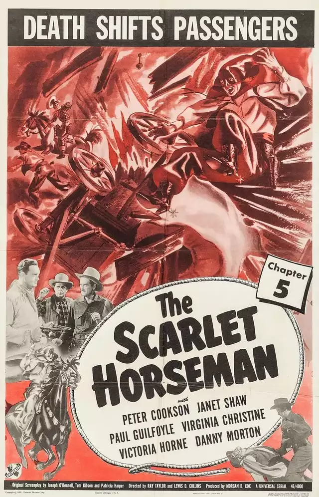 movie vertical poster fallback