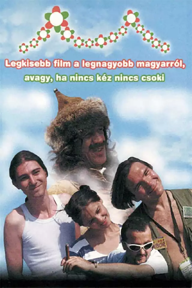 movie vertical poster fallback