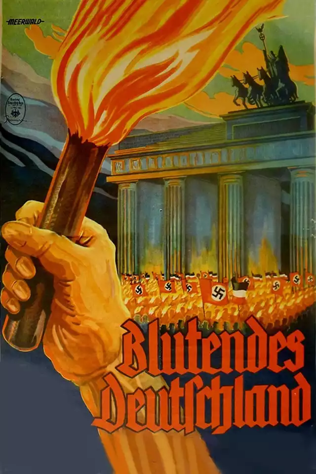 movie vertical poster fallback