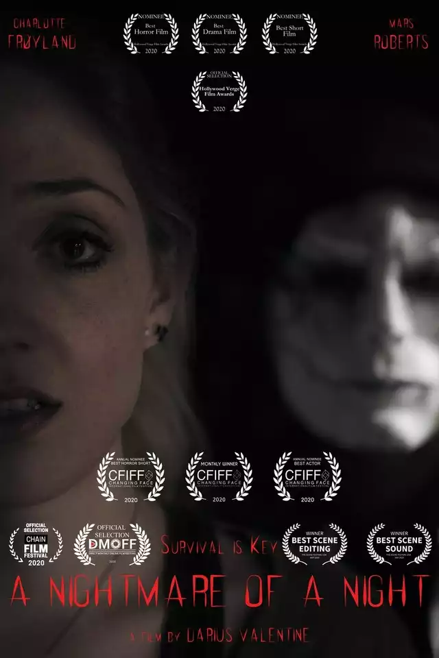 movie vertical poster fallback