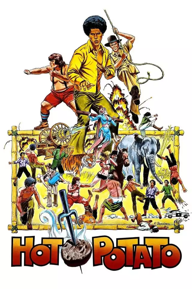 movie vertical poster fallback