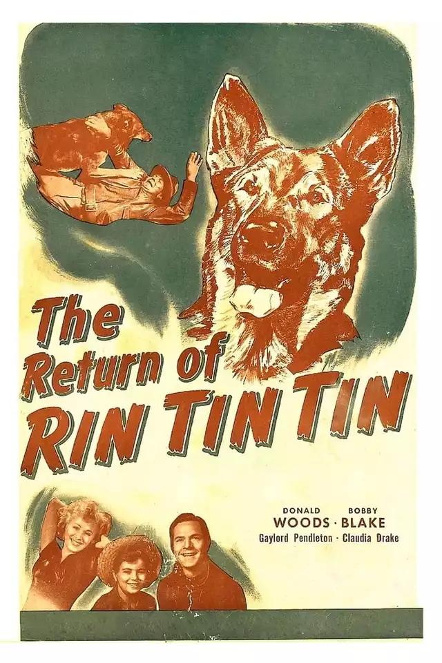 movie vertical poster fallback