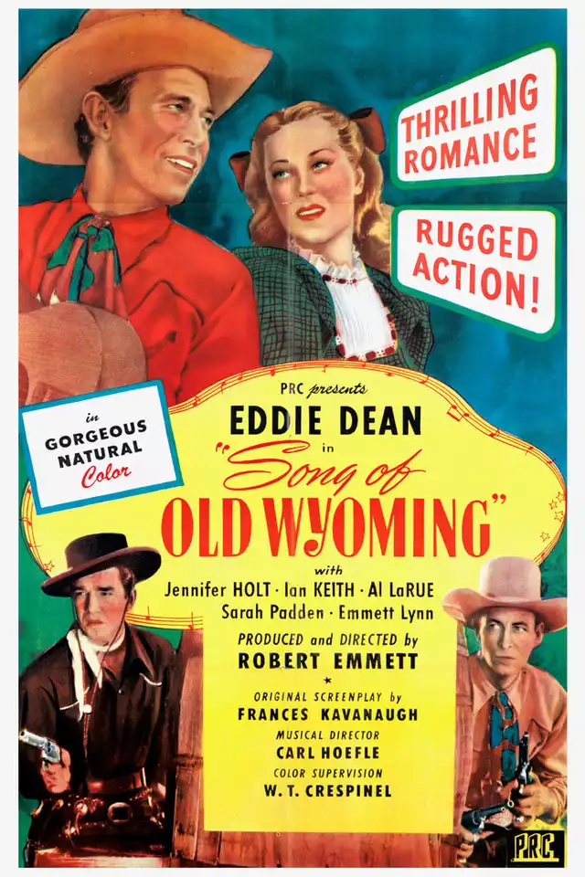 movie vertical poster fallback